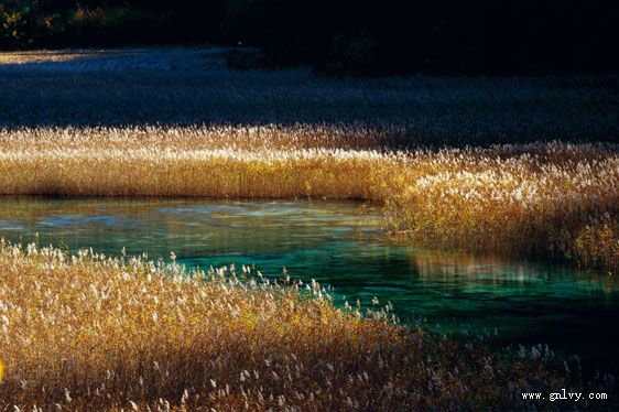 �Ĵ���կ�����