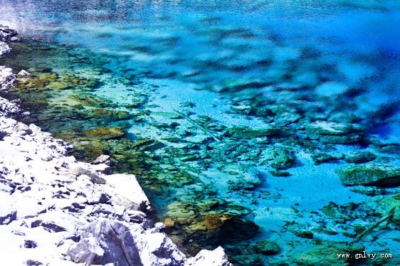 �Ĵ���կ�����