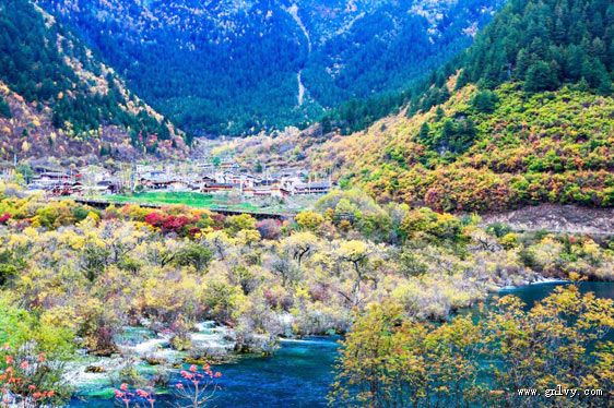 �Ĵ���կ�����