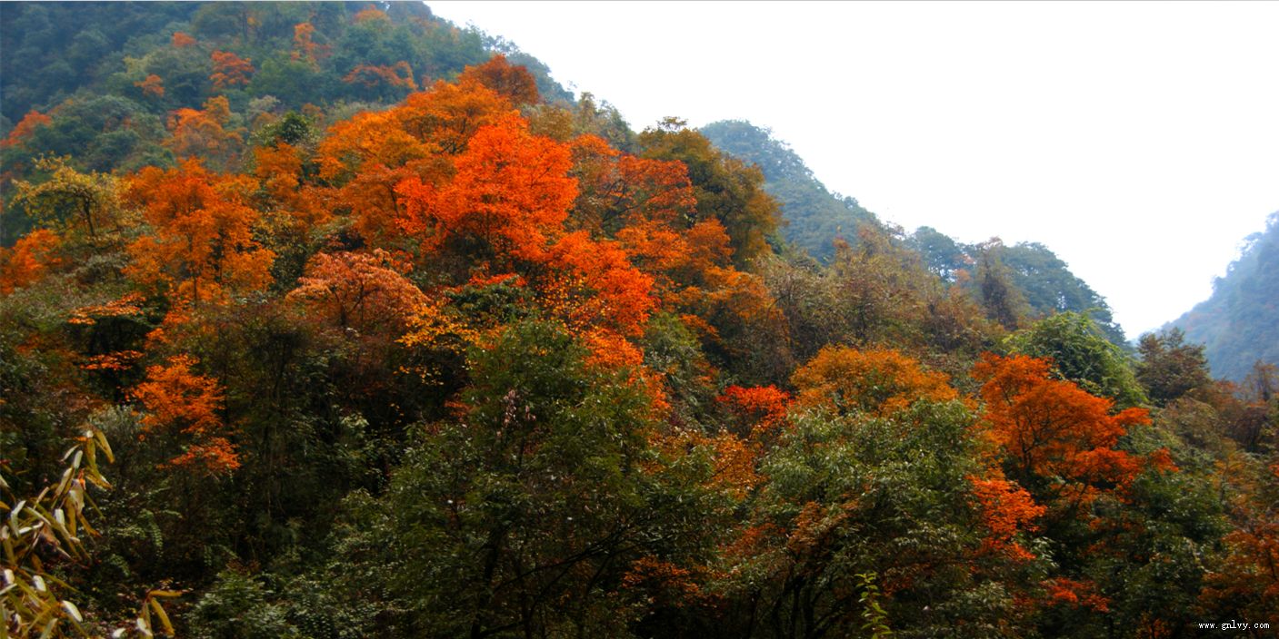 ����ѩɽ�������� ����ѩ֮��