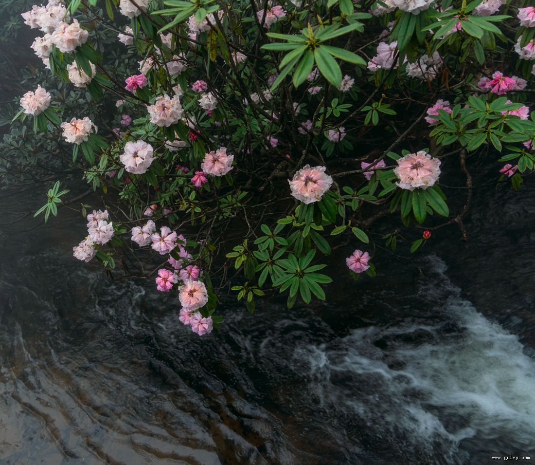 四川瓦屋山风景区 四川瓦屋山风景区