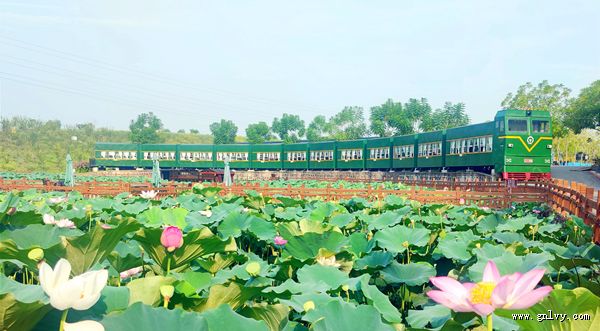 ����ˮ�� Ʒ�ΰ���ʳ �Ĵ��Թ�