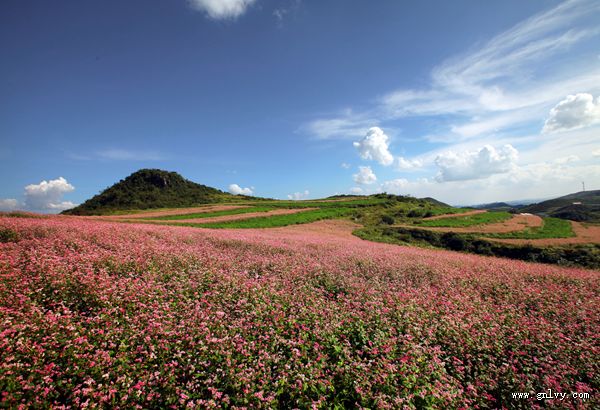 “遇见千年彝乡 爱上神秘板底” 贵州·毕节 “遇见千年彝乡 爱上神秘板底” 贵州·毕节