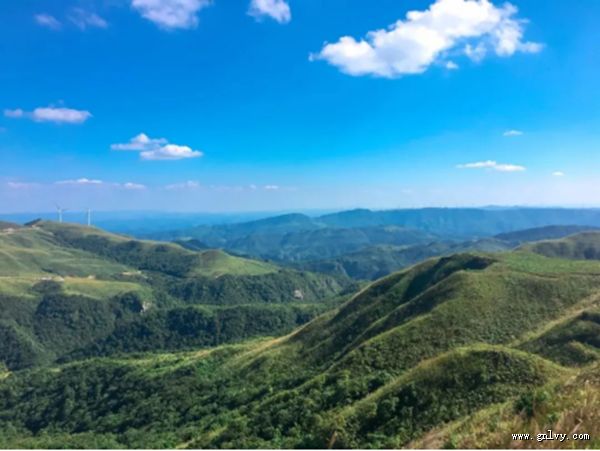 品美味 游黔南在贵州 品美味 游黔南在贵州