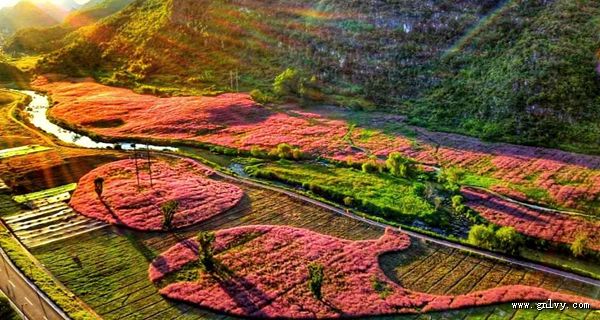 品美味 游黔南在贵州 品美味 游黔南在贵州