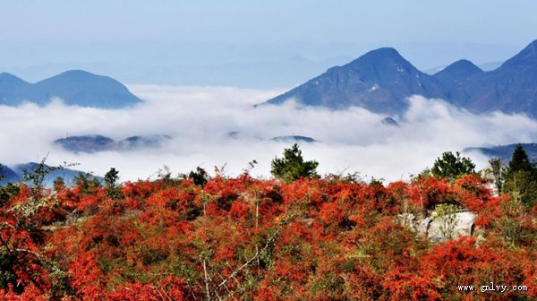 重庆·金齑玉鲙尝秀山 重庆·金齑玉鲙尝秀山