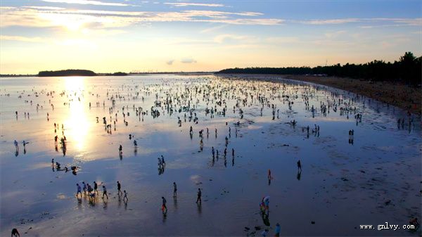 浪漫滨海 蚝门盛宴 看广西· 浪漫滨海 蚝门盛宴 看广西·