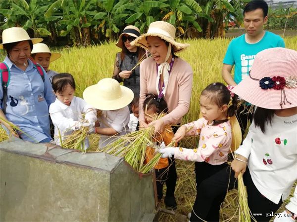 浪漫滨海 蚝门盛宴 看广西· 浪漫滨海 蚝门盛宴 看广西·