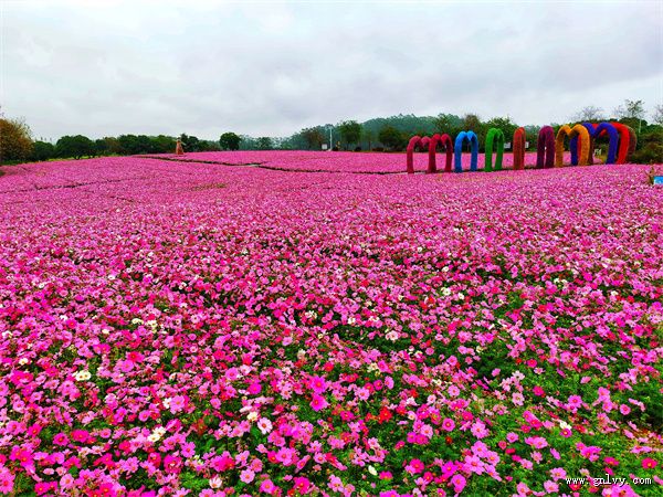 �������� ���ʢ�� ��������