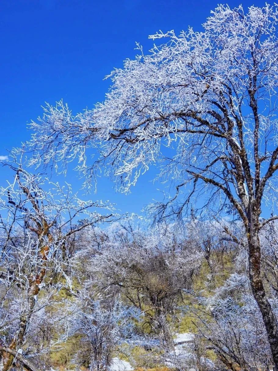 想要看雪耍雪的集美,这个冬天快来雅安感受冰雪世界吧! 想要看雪耍雪的集美,这个冬天快来雅安感受冰雪世界吧!