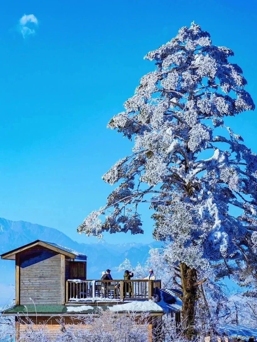 想要看雪耍雪的集美,这个冬天快来雅安感受冰雪世界吧! 想要看雪耍雪的集美,这个冬天快来雅安感受冰雪世界吧!