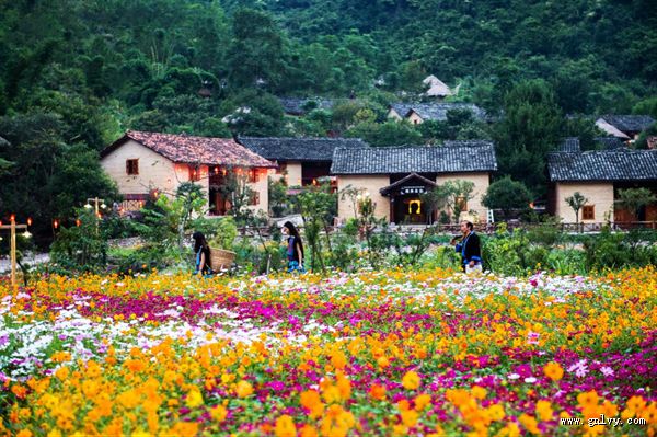 健康美食 长寿之乡在广西 健康美食 长寿之乡在广西