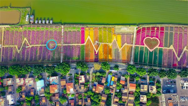 三水长寿之乡 秋冬赏味之旅广东·佛山 三水长寿之乡 秋冬赏味之旅广东·佛山