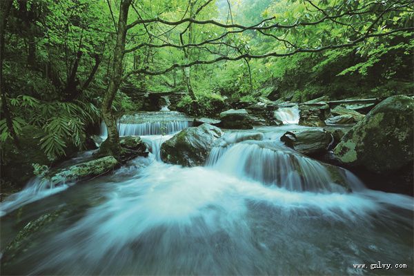 紫鹊秋收 美食湘军走进湖南 紫鹊秋收 美食湘军走进湖南