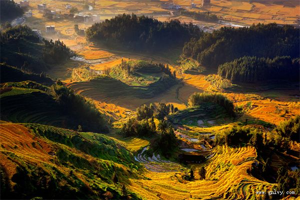 紫鹊秋收 美食湘军走进湖南 紫鹊秋收 美食湘军走进湖南
