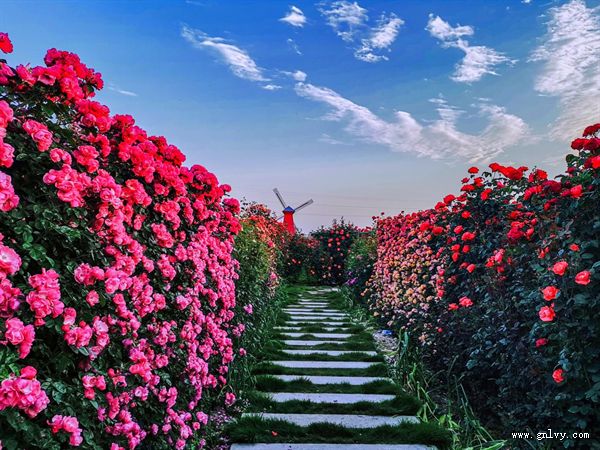 湖北天门·景秀品美味 湖北天门·景秀品美味