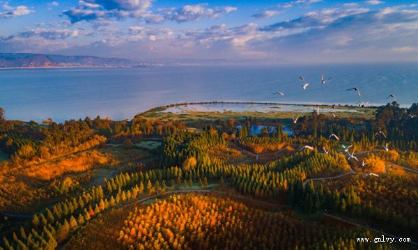 云南·寻味滇岸原乡 体验特色美食 云南·寻味滇岸原乡 体验特色美食