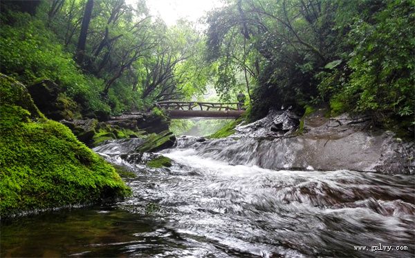 宁夏寻味固原宁夏·秋意六盘 宁夏寻味固原宁夏·秋意六盘