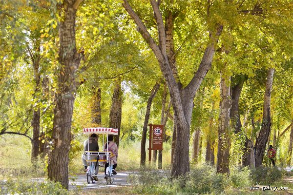 ���������� �������ҡ����ġ���ʳ֮��