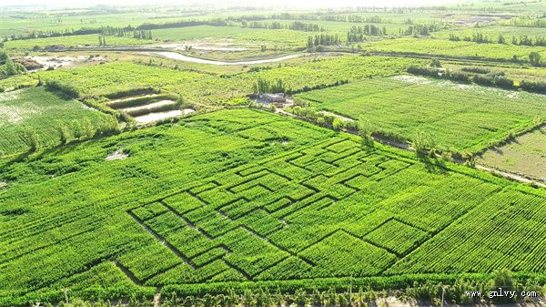 生产建设兵团·一师乡村美食之旅 生产建设兵团·一师乡村美食之旅