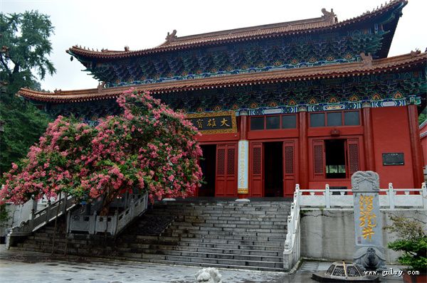 山灵食美 河南·罗山有约 山灵食美 河南·罗山有约