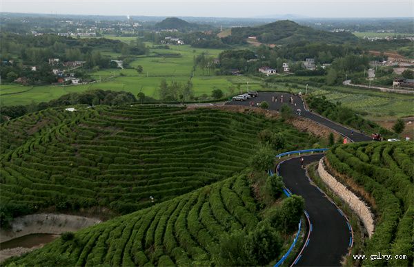 山灵食美 河南·罗山有约 山灵食美 河南·罗山有约