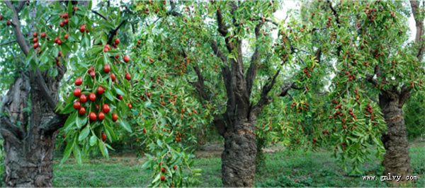 德州美食探源之旅 山东·“寻味两河 非遗飨宴” 德州美食探源之旅 山东·“寻味两河 非遗飨宴”
