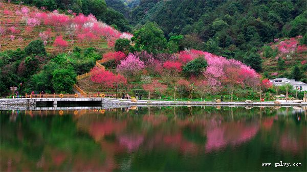 ��������˿Ȫ�� �̻����ζ