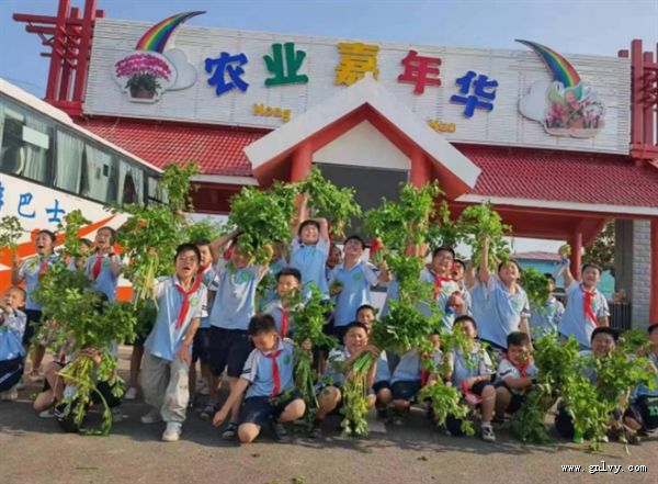 ����  �㵽 ��ʳ���� ���� ֮��